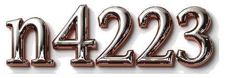 n4223 logo