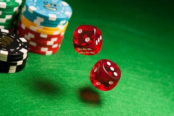 n4223 Same-Day Fight Odds